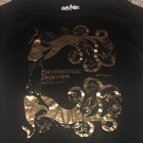 Fantastic Beasts. - Picture 4 of 5